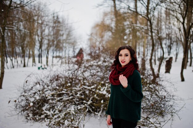 冬の夜の屋外で緑のセーターと赤いスカーフのブルネットの女の子