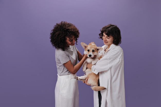 ブルネットの女性は紫色の背景で犬と遊ぶ孤立した背景で十代のコーギーとポーズをとって良い気分で魅力的な女の子