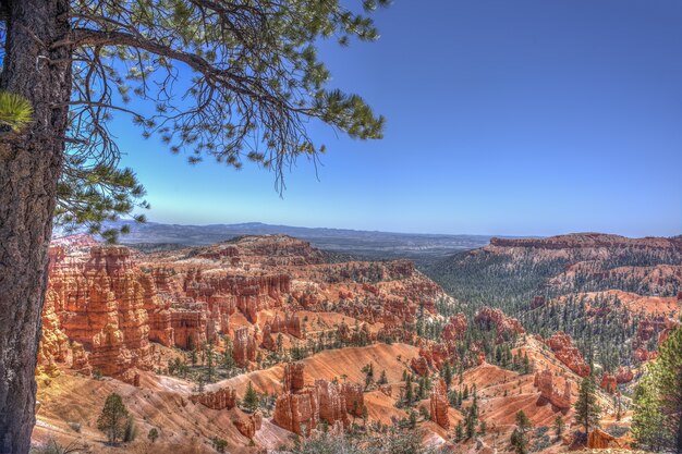Bryce Canyon National Park under the sunlight and a blue sky in Utah