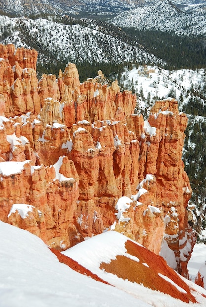 Bryce canyon with snow in winter