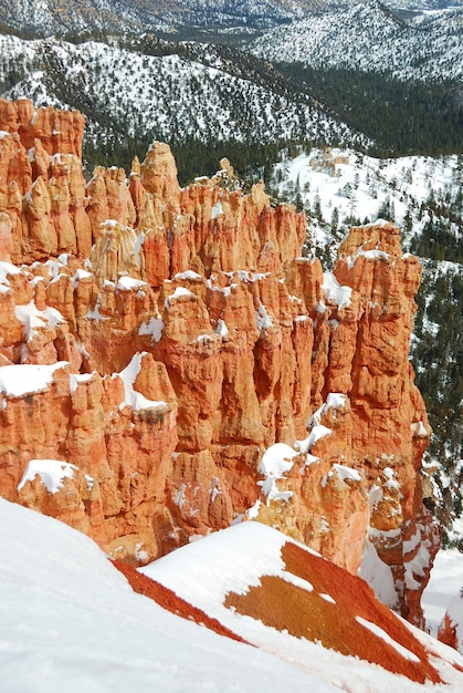 Free photo bryce canyon with snow in winter