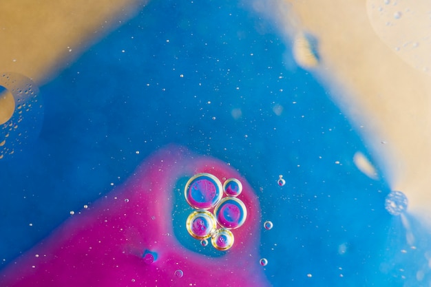 Bubbles over the pink and blue background