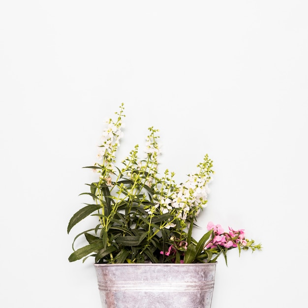 Bucket with white and pink flowers