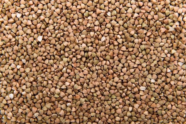 Buckwheat