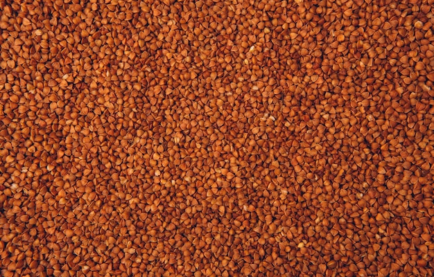 Buckwheats as background, top view.
