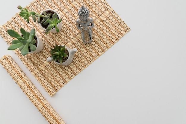 Buddha figure and plants