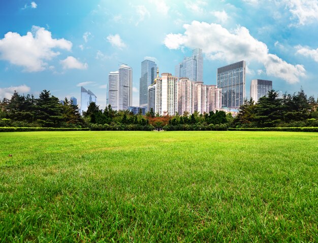 Building view from field