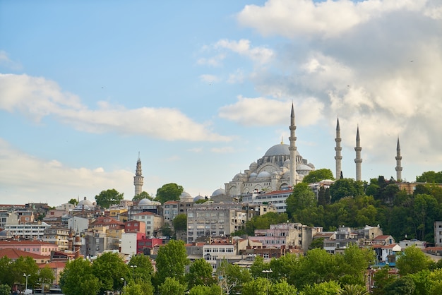 Building with domes and turrets