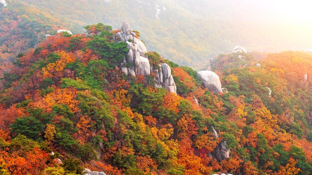 Bukhansan mountains in autumn,Seoul in South Korea