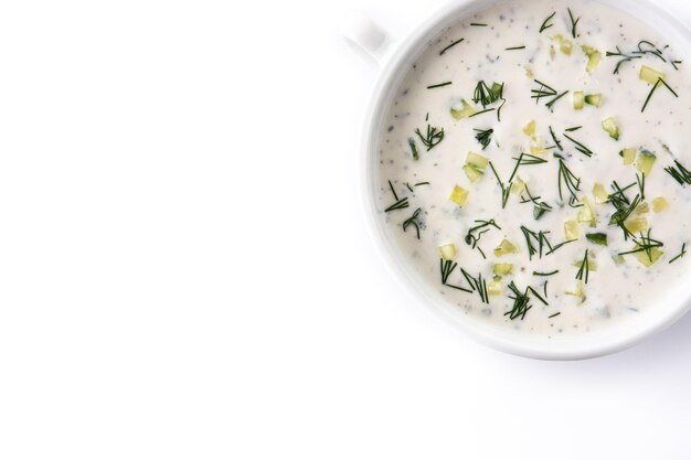 Bulgarian tarator sour milk soup in bowl isolated on white background