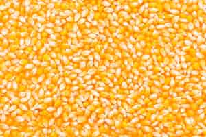 Free photo bulk of corn grains