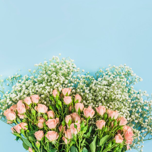 Bunch of baby's-breath flowers and pink roses on blue background