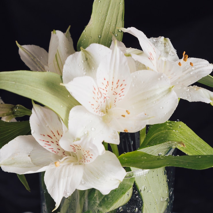 無料Photo 花瓶の露に美しい新鮮な白い花の束