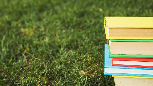 Bunch of books with colorful covers on green lawn