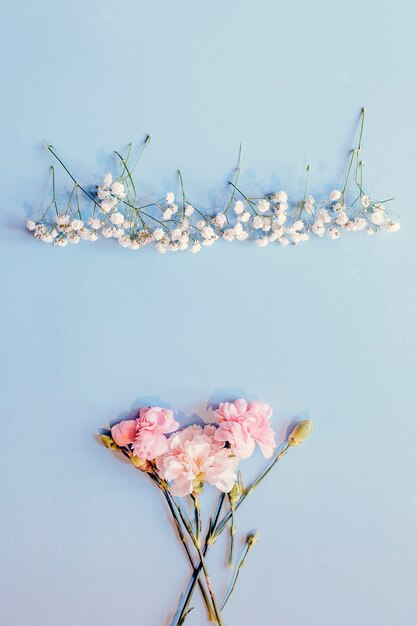 Bunch of carnation flowers and gypsophila flowers arranged over plain background