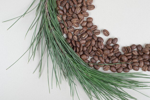 灰色の表面に枝があるコーヒー豆の束