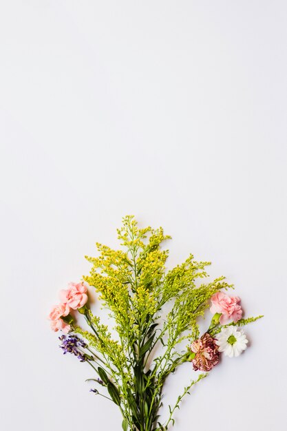 Bunch of colorful flower on white background