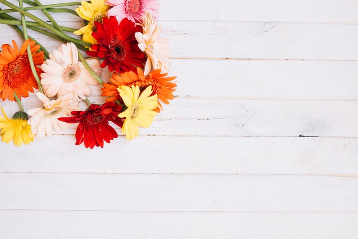 Free Photo bunch of different flowers