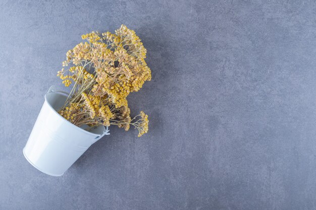 Bunch of Dry parsley on grey.