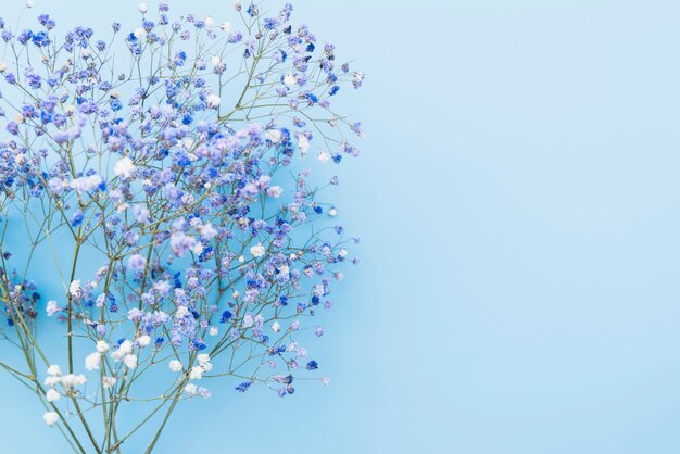 신선한 푸른 꽃 나뭇 가지의 무리