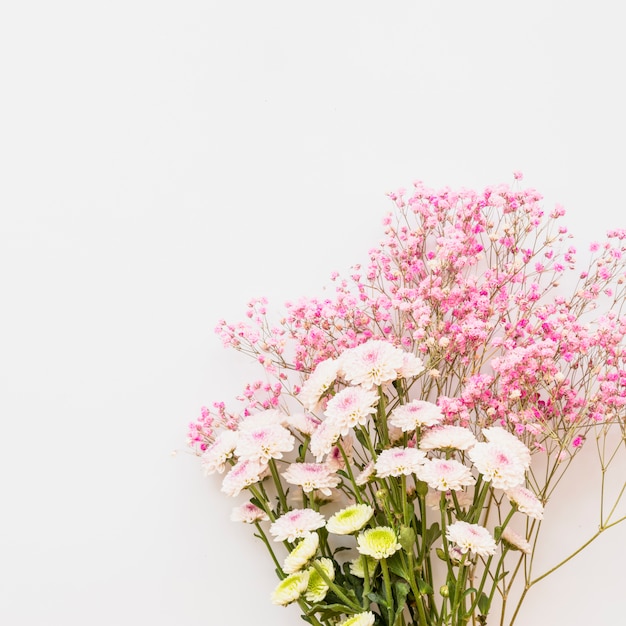 Foto gratuita mazzo di fiori freschi su steli