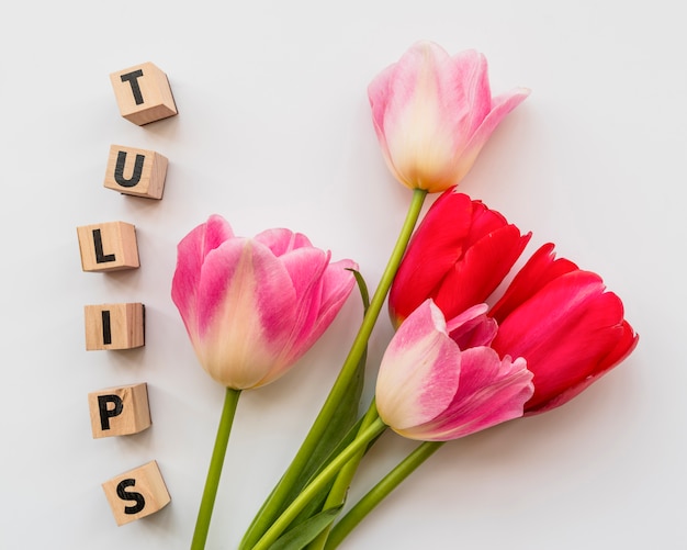 Bunch of fresh flowers and tulips with cubes 