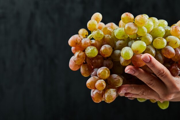 Bunch of fresh grapes in hand on black background. High quality photo
