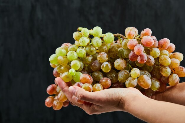 A bunch of fresh grapes in hand on black surface