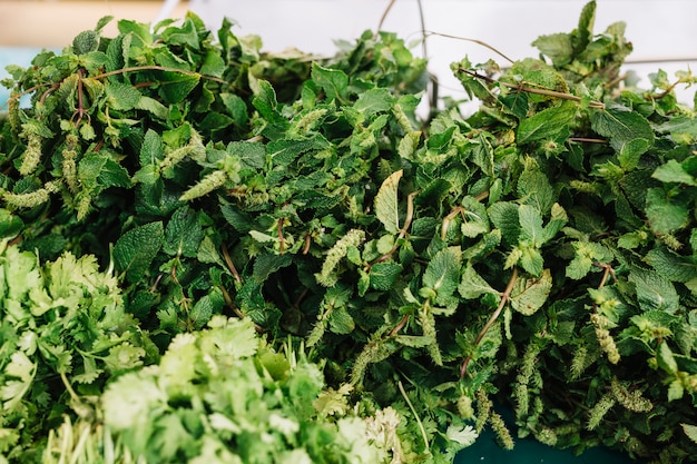 Bunch of fresh green mint and parsley