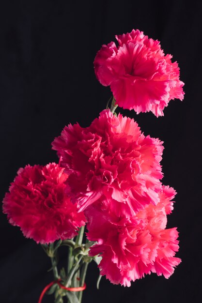 bunch of fresh pink flowers