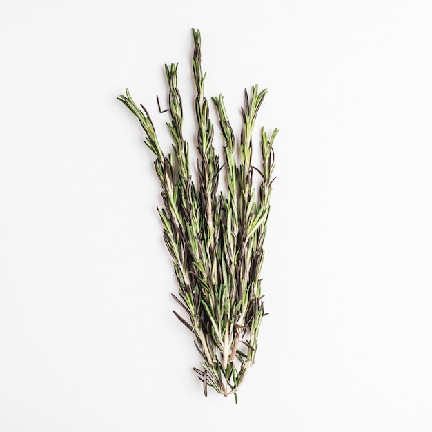 Bunch of fresh rosemary