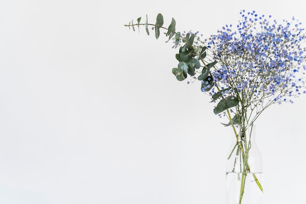 Bunch of fresh twigs and plants in vase