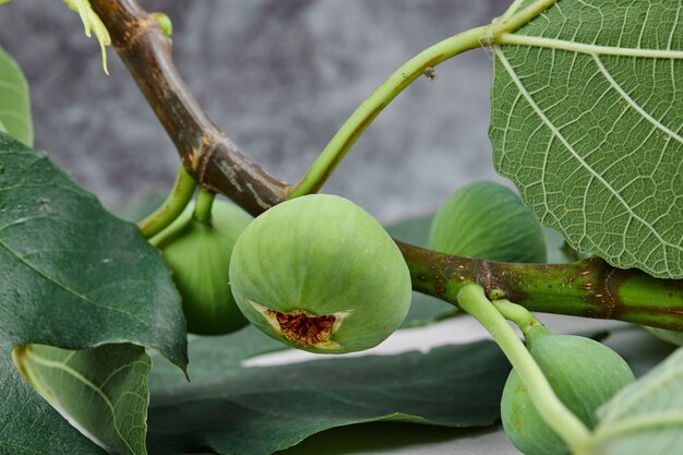 A bunch of green figs with leaves on marble.