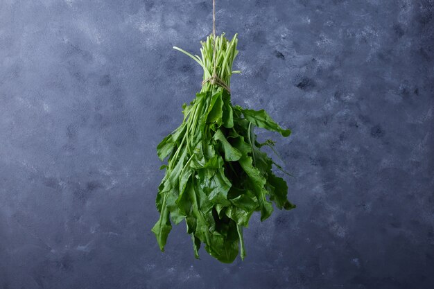 A bunch of herbs hanged on blue