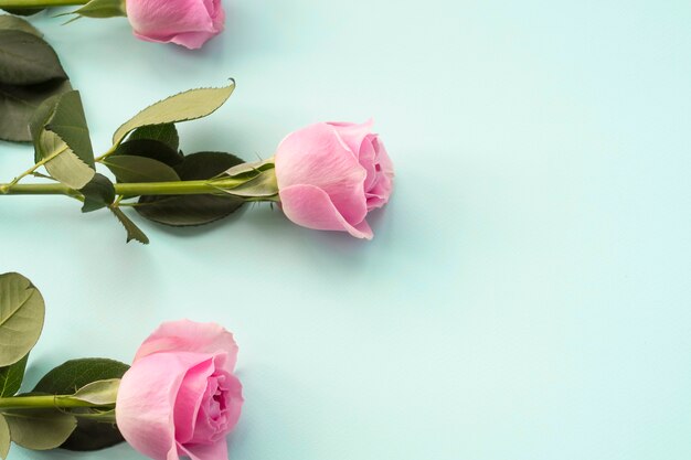 Bunch of lavender flowers and blank tag on wooden backdrop