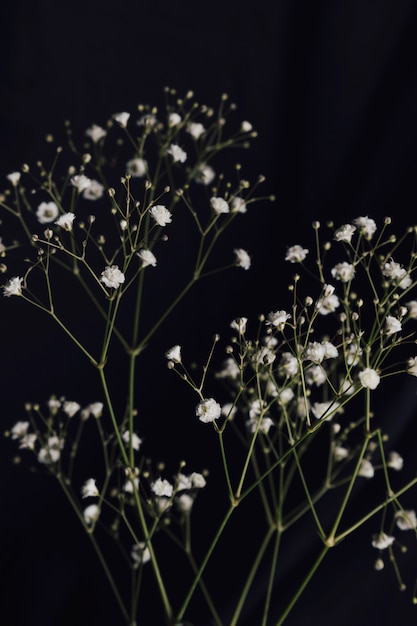 Bunch of light fresh flower twigs