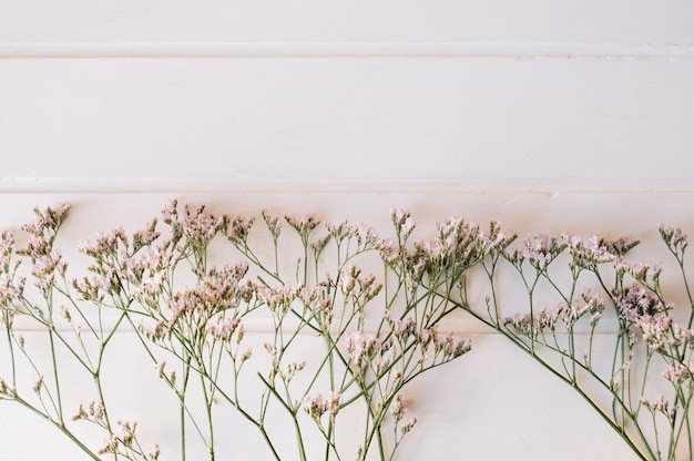 Free photo bunch of little flowers on a row with space on the top