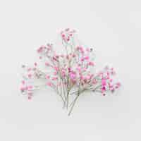 Бесплатное фото Букет из нежных цветочных веточек