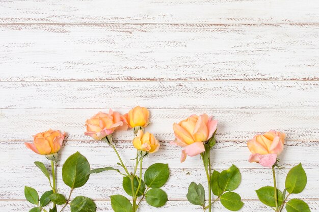 Bunch of orange roses on the table