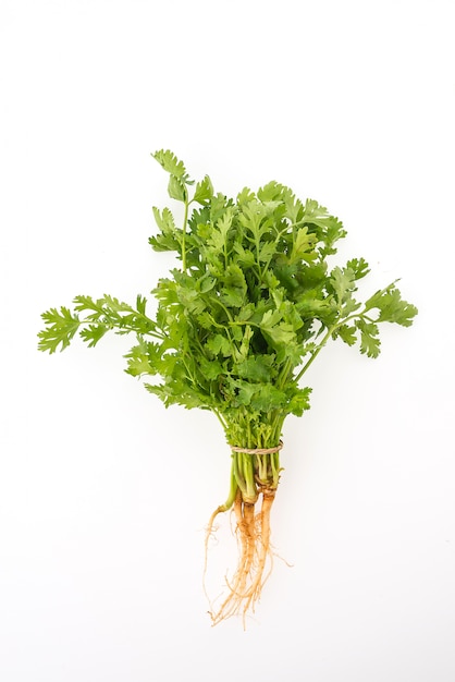 Bunch of parsley