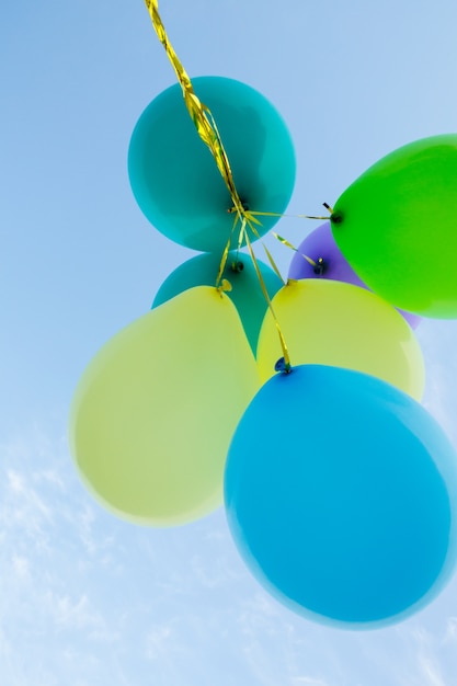 Bunch of pastel color balloons floating in the air