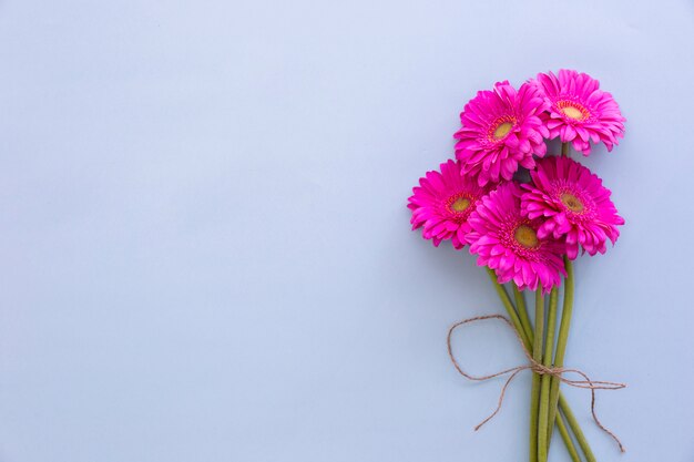 色付きの背景にピンクのガーベラの花の束