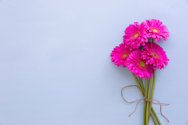 色付きの背景にピンクのガーベラの花の束