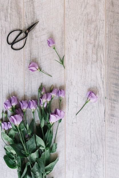 Bunch of purple flowers and scissors on wooden background