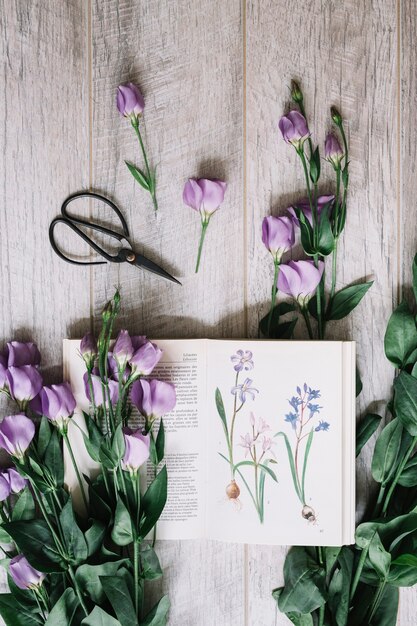 Bunch of purple flowers with open book and scissors on wooden backdrop