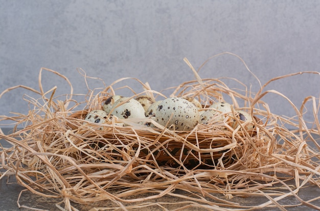 Bunch of quail eggs in wooden nest.