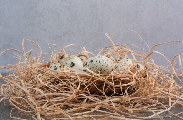 Связка перепелиных яиц в деревянном гнезде.