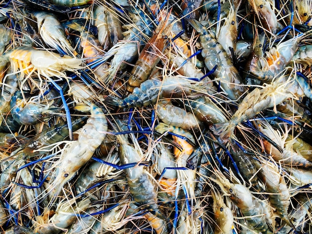 A bunch of shrimp