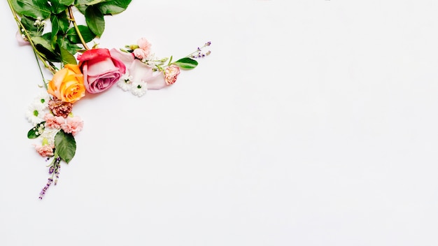 흰색 배경 위에 배열 장미와 작은 꽃의 무리