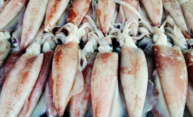 A bunch of squid